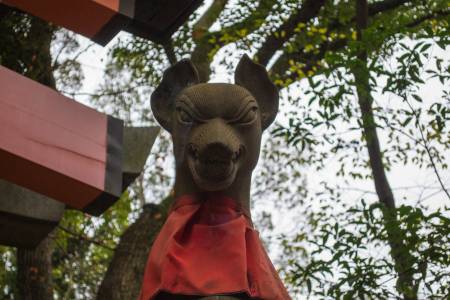 Kitsune dans le Fushimi Inari