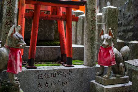 Des kitsune et une torii sur une tombe