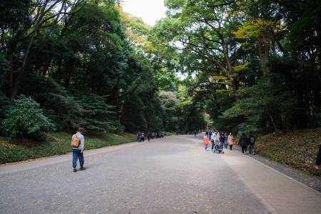 Meiji-jingu