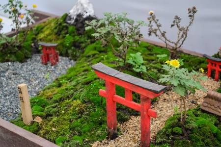 Meiji-jingu