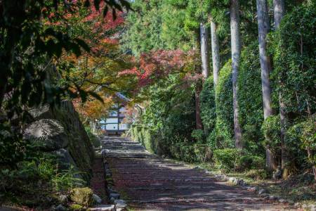 Chemin vers le temple