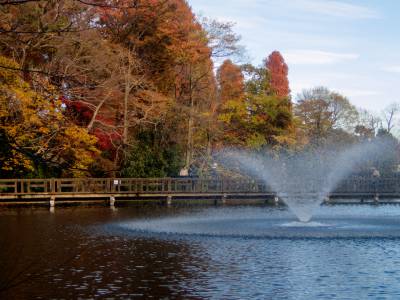 Parc d'Inogashira