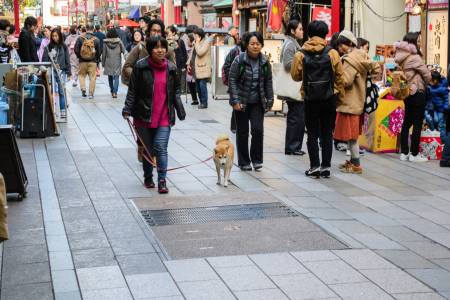 Asakusa