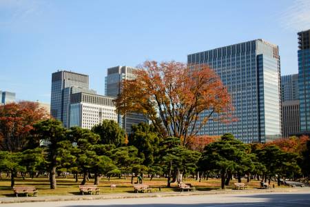 Palais impérial de Tokyo