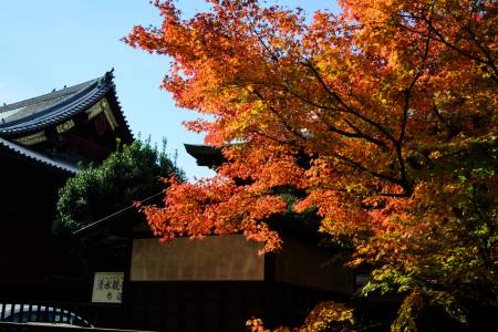 Parc d'Ueno