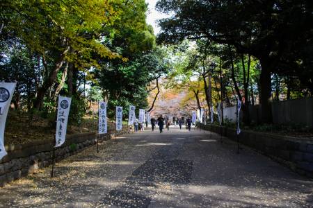 Parc d'Ueno