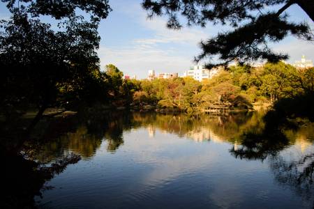 Rikugien Gardens