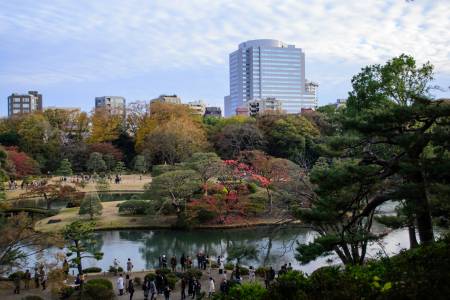 Rikugien Gardens