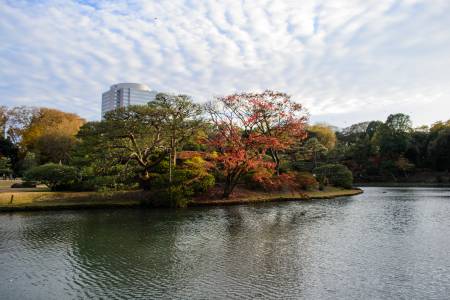 Rikugien Gardens