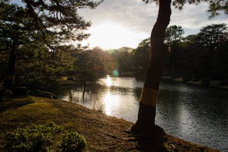 Rikugien Gardens