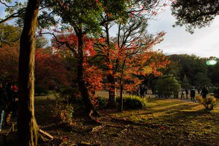 Rikugien Gardens