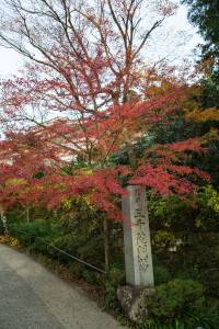 Devant le temple Sanzen-In