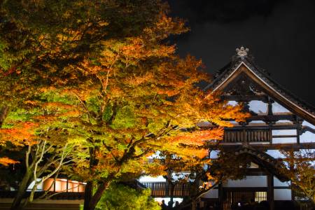 Entrée du Kodai-Ji