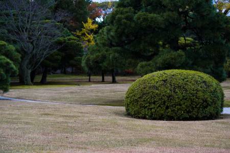 Jardin Nijo-Jo