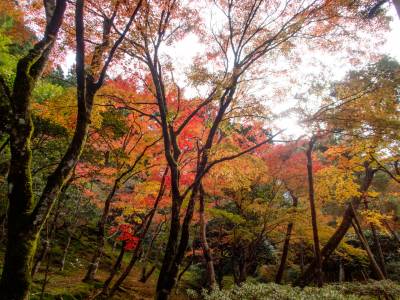 Ginkaku Ji